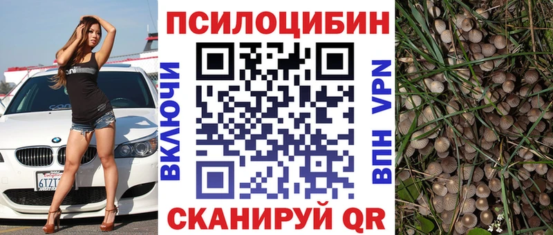Галлюциногенные грибы Psilocybe  Горняк 
